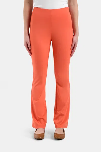 CAPSULE 121 THE INFRARED PANT