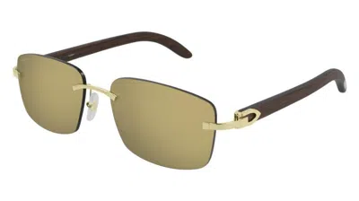 CARTIER CARTIER BROWN LENS WITH GOLD BROWN WOOD MEN'S SUNGLASSES CT0013RS 001