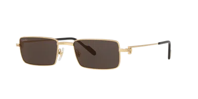 CARTIER CARTIER UNISEX SUNGLASS CT0501S