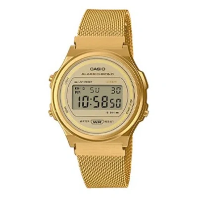 CASIO Casio Youth Vintage Digital Watch 'Gold'
