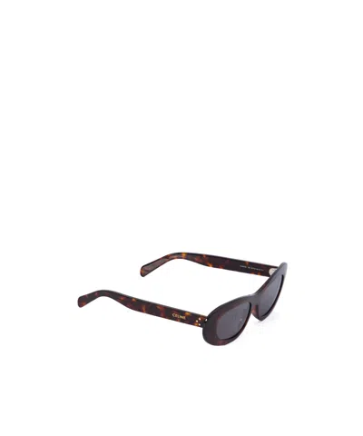 CELINE CAT EYE S310 SUNGLASSES IN ACETATE