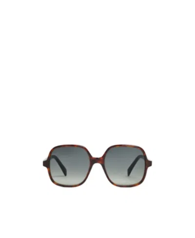 CELINE OVERSIZED S244 SUNGLASSES IN ACETATE