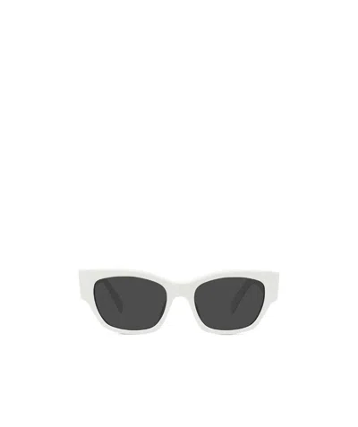 CELINE CELINE MONOCHROMS 01 SUNGLASSES IN ACETATE