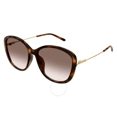 CHLOÉ CHLOE BROWN GRADIENT BUTTERFLY LADIES SUNGLASSES CH0175SK 002 59