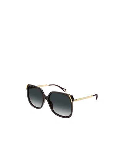 CHLOÉ CHLOÉ EYEWEAR OVERSIZED FRAME SUNGLASSES