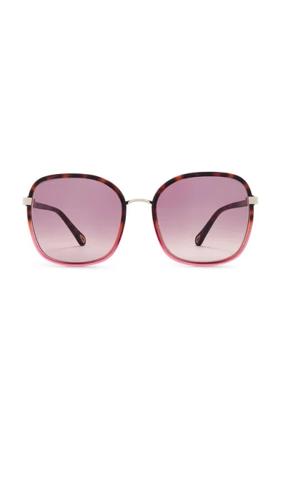 CHLOÉ FRANKY SUNGLASSES