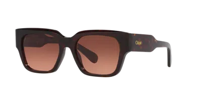 CHLOÉ CHLOÉ WOMAN SUNGLASS CH0190S