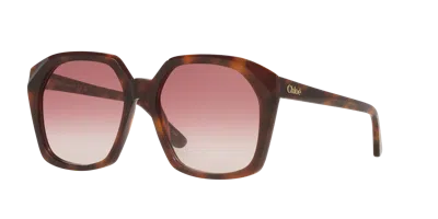 CHLOÉ CHLOÉ WOMAN SUNGLASS CH0280S