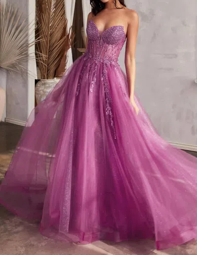 CINDERELLA DIVINE AILIYAH EMBELLISHED TULLE MAXI GOWN IN AMETHYST