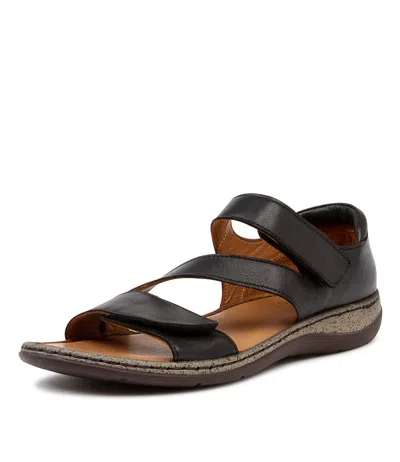 COLORADO COLORADO MASIE TAN LEATHER WOMENS SHOES CASUAL SANDALS SANDALS FLAT