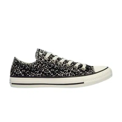 CONVERSE CHUCK TAYLOR ALL STAR LOW 'LEOPARD'