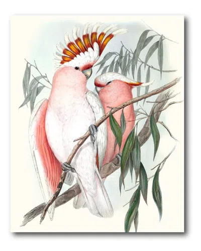 COURTSIDE MARKET WALL DECOR COURTSIDE MARKET PASTEL PARROTS I