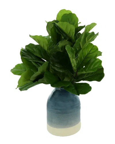 CREATIVE DISPLAYS CREATIVE DISPLAYS FIDDLE LEAVES IN BLUE & WHITE CERAMIC JUG