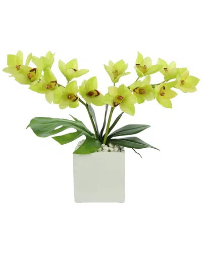 CREATIVE DISPLAYS CREATIVE DISPLAYS GREEN ORCHID FLORAL ARRANGEMENT