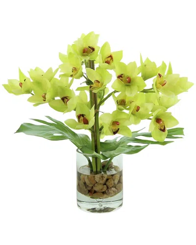 CREATIVE DISPLAYS CREATIVE DISPLAYS GREEN ORCHID FLORAL ARRANGEMENT