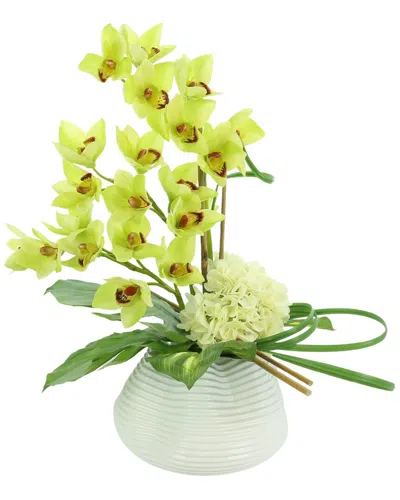 CREATIVE DISPLAYS CREATIVE DISPLAYS GREEN ORCHID WITH WHITE HYDRANGEA FLORAL ARRANGEMENT