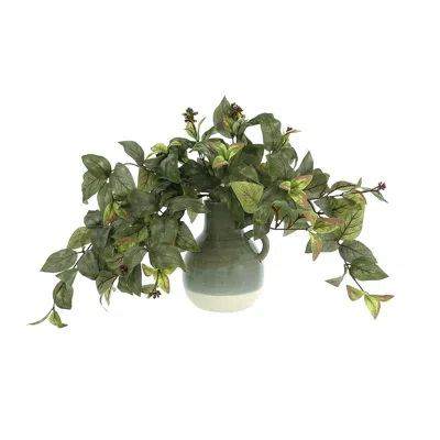 CREATIVE DISPLAYS IVY ARRANGEMENT IN A CERAMIC VASE WITH HANDLE