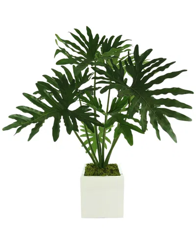 CREATIVE DISPLAYS CREATIVE DISPLAYS PHILOPLANT ARRANGEMENT IN A WHITE SQUARE FIBERSTONE POT