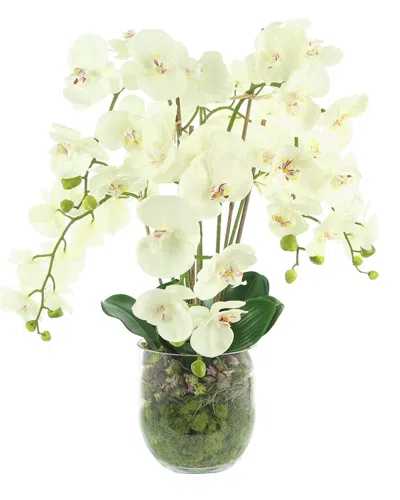 CREATIVE DISPLAYS CREATIVE DISPLAYS WHITE ORCHID FLORAL ARRANGEMENT