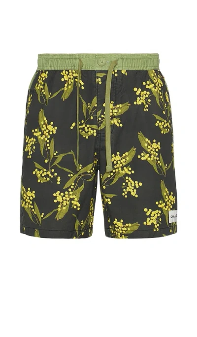 CRITICAL SLIDE ACARCIA 17 SWIM TRUNK