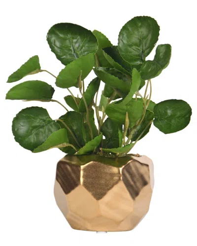 D&W SILKS D&W SILKS EUCALYPTUS IN GOLD GEOMETRIC PLANTER