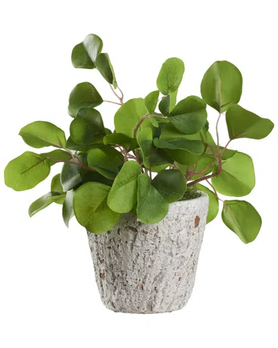 D&W SILKS D&W SILKS EUCALYPTUS IN SMALL WEATHERED OAK PLANTER