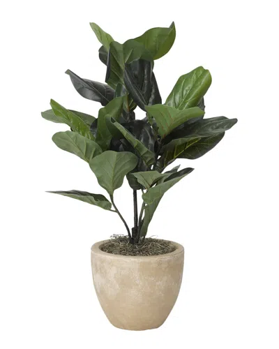 D&W SILKS D&W SILKS NATURAL TOUCH FIDDLE LEAF FIG PLANT IN ROUND CLAY PLANTER