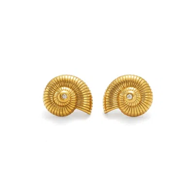 DECOLET THE LABEL WOMEN'S CONCH GOLD EARRINGS