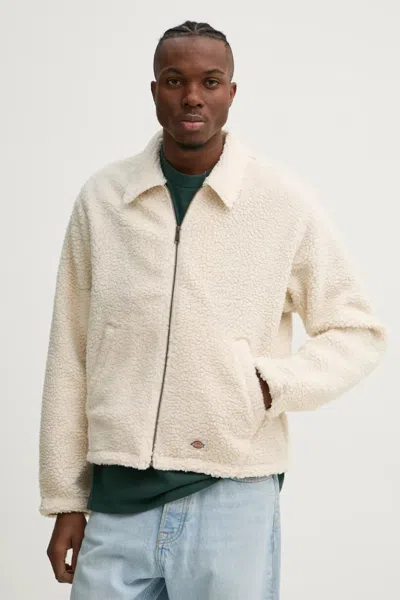 DICKIES JACKETS AND JACKETS MAN DICKIES EISENHOWER HIGH BATTERIES - DK0A864B WHITECAP GRAY