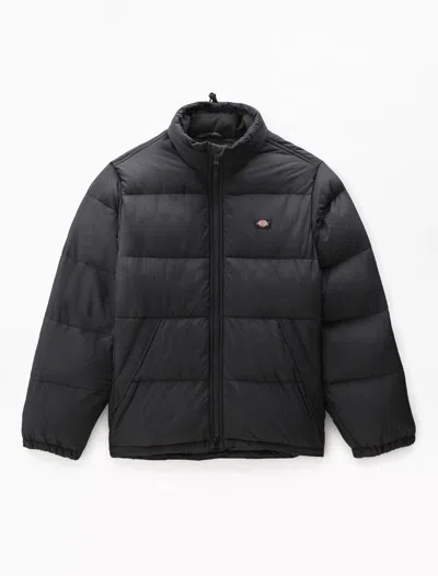 DICKIES JACKETS AND JACKETS MAN DICKIES WALDENBURG - DK0A4XP2 BLK BLACK