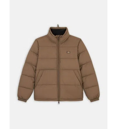 DICKIES JACKETS AND JACKETS MAN DICKIES WALDENBURG - DK0A4XP2MR1 MUSHROOM