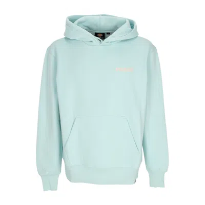 DICKIES MEN'S HOODIE HAYS HOODIE PASTEL TURQUOISE