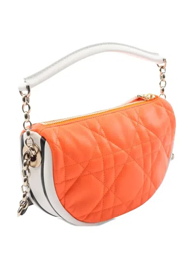 DIOR SMALL VIBE CANNAGE TOTE BAG