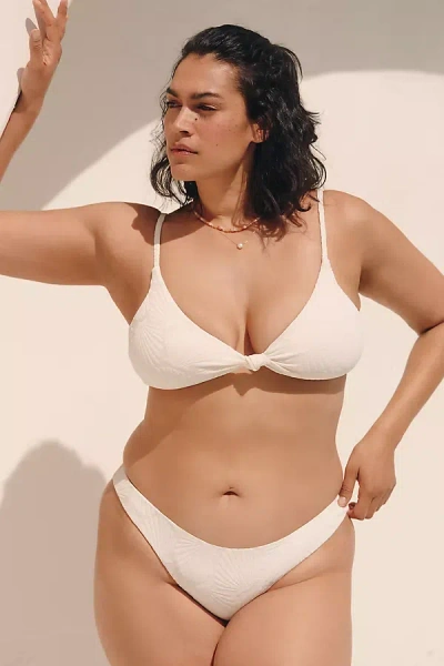 DIPPIN DAISYS NOCTURNAL PLUS BIKINI BOTTOMS