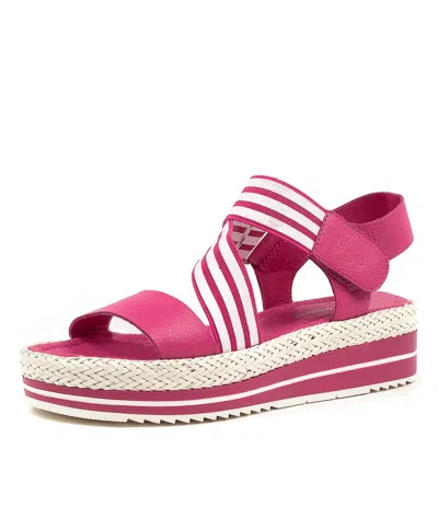 DJANGO & JULIETTE DJANGO & JULIETTE ALINAY NAVY AND WHITE LEATHER ELASTIC SANDALS WOMENS SH...