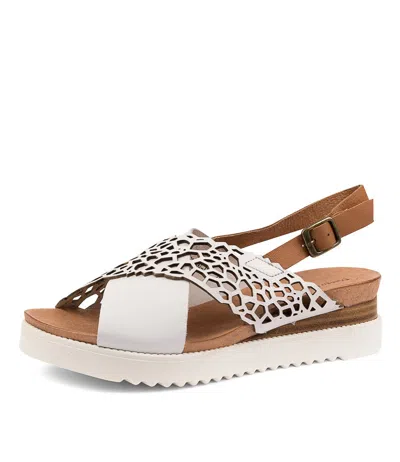 DJANGO & JULIETTE DJANGO & JULIETTE AUSTON NAVY DK TAN WOMENS SHOES CASUAL