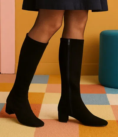 DJANGO & JULIETTE DJANGO & JULIETTE HAYLEYS BLACK STRETCH WOMENS SHOES CASUAL BOOTS LONG