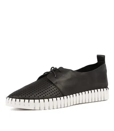 DJANGO & JULIETTE DJANGO & JULIETTE HUSTON WOMENS SHOES CASUAL SNEAKERS CASUAL