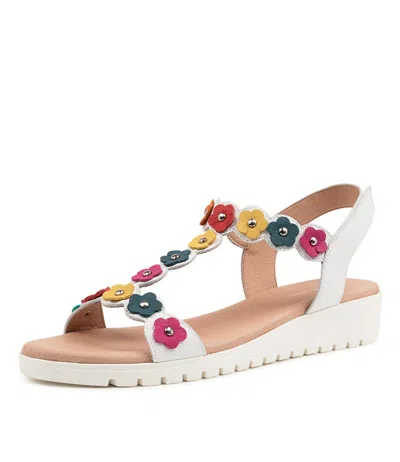 DJANGO & JULIETTE DJANGO & JULIETTE MURMUR LRG CORAL REEF MET WOMENS SHOES CASUAL