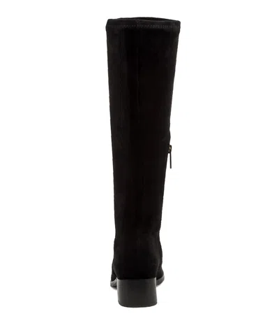 DJANGO & JULIETTE DJANGO & JULIETTE TIMOTHIE NAVY MICROSUEDE KNEE HIGH BOOTS WOMENS SHOES