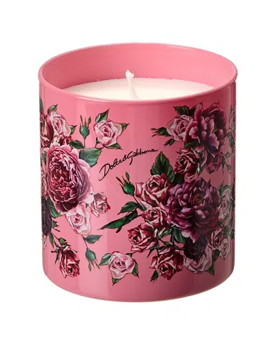 DOLCE & GABBANA DOLCE & GABBANA 13.4OZ SCENTED CANDLE: ROSA MOSCHATA