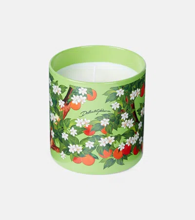 DOLCE & GABBANA CASA ARANCIO DI SICILIA SCENTED CANDLE