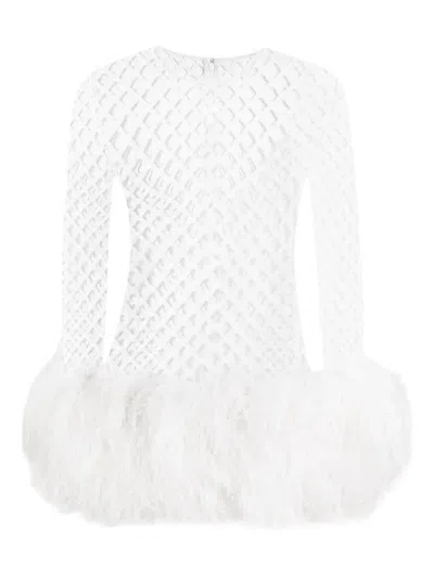 DOLCE & GABBANA MESH FEATHER-TRIM MINI DRESS