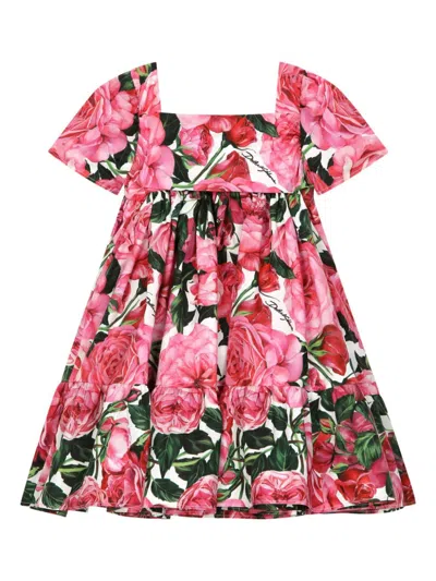 DOLCE & GABBANA ROSE-PRINT DRESS