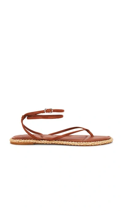 DOLCE VITA COVE SANDAL