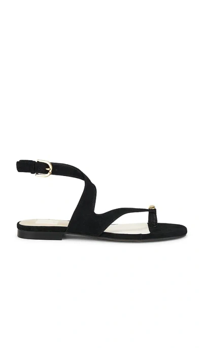 DOLCE VITA EARLA SANDAL