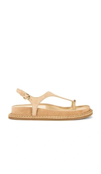 DOLCE VITA STEFAN GEMSTONE SANDAL