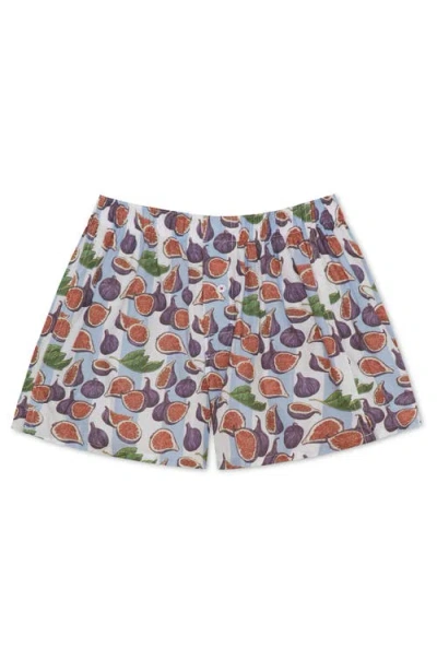 DRUTHERS NYC DRUTHERS NYC ORGANIC COTTON FIG SPREAD BOXER SHORT