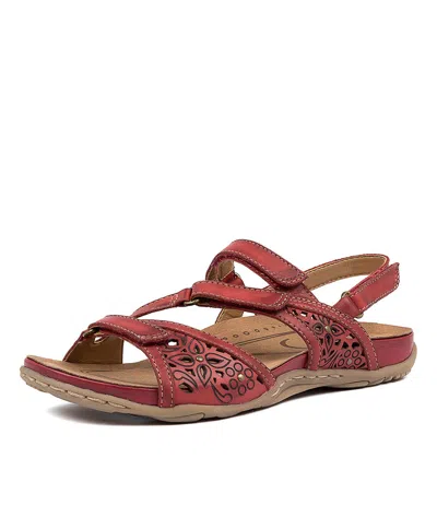 EARTH EARTH MAUI2 BRIGHT RED LEATHER WOMENS SHOES CASUAL SANDALS SANDALS FLAT