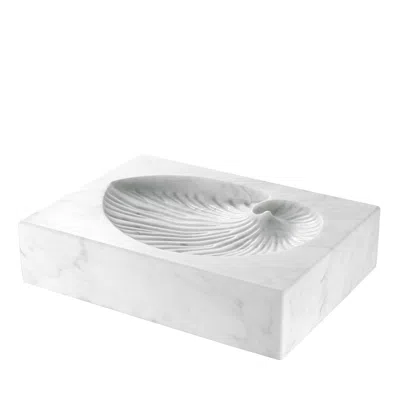 EICHHOLTZ CONCHIGLIA OBJECT